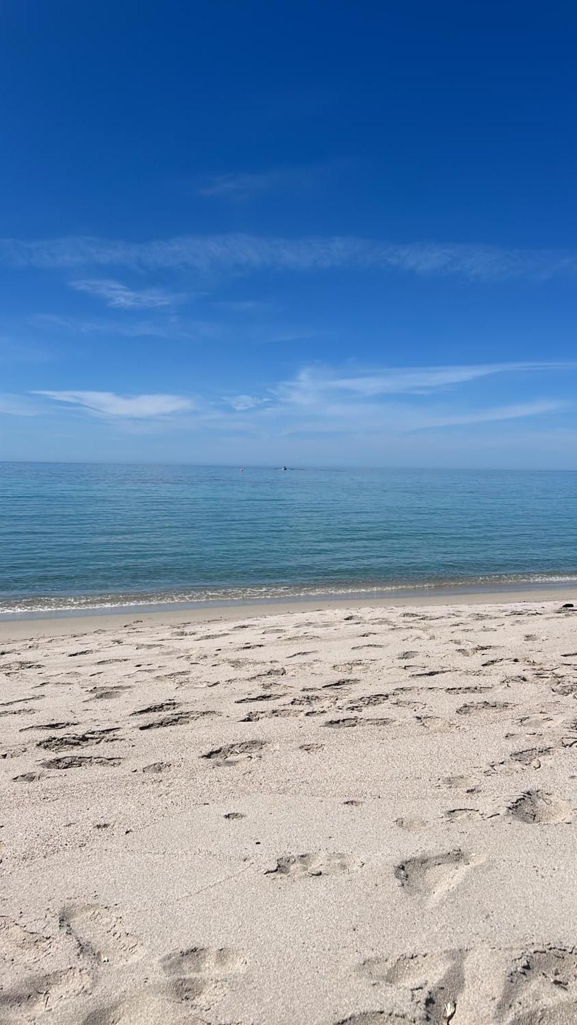 Duplex F4 Sanguinaires A 5 Mn De La Plage Ajaccio  Exterior foto